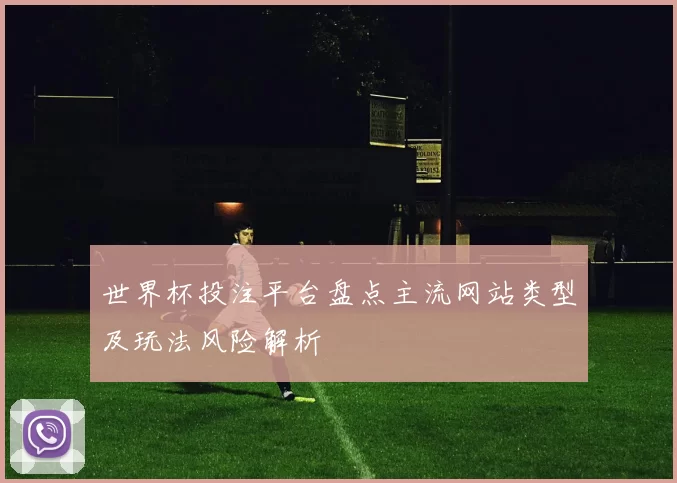 世界杯投注平台盘点主流网站类型及玩法风险解析