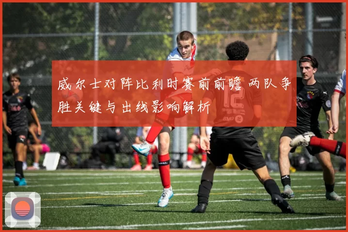 威尔士对阵比利时赛前前瞻 两队争胜关键与出线影响解析