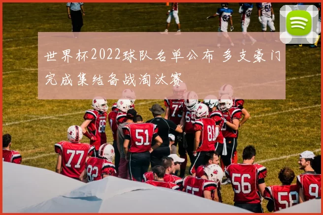 世界杯2022球队名单公布 多支豪门完成集结备战淘汰赛