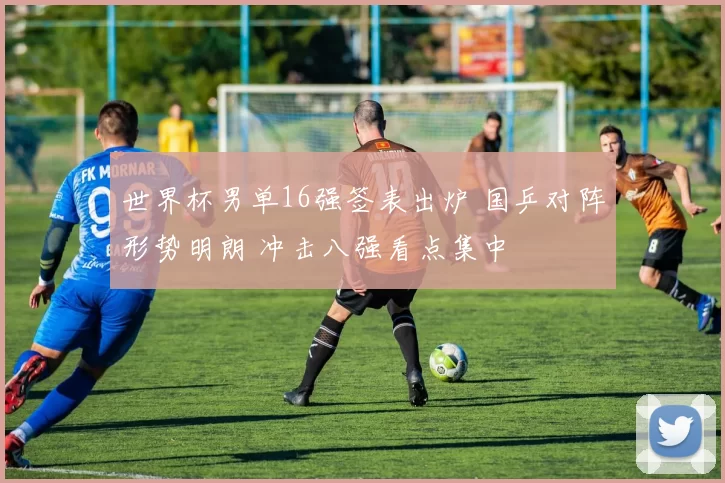 世界杯男单16强签表出炉 国乒对阵形势明朗 冲击八强看点集中