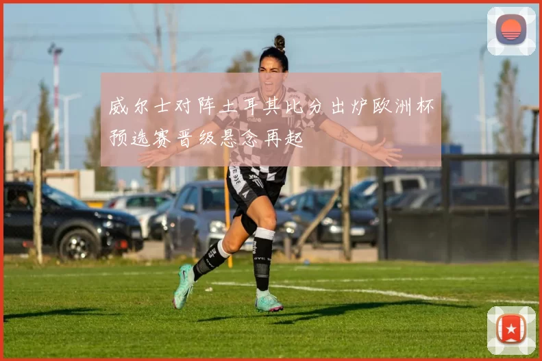 威尔士对阵土耳其比分出炉欧洲杯预选赛晋级悬念再起