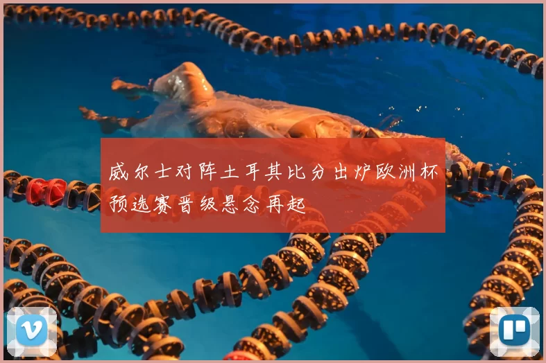 威尔士对阵土耳其比分出炉欧洲杯预选赛晋级悬念再起