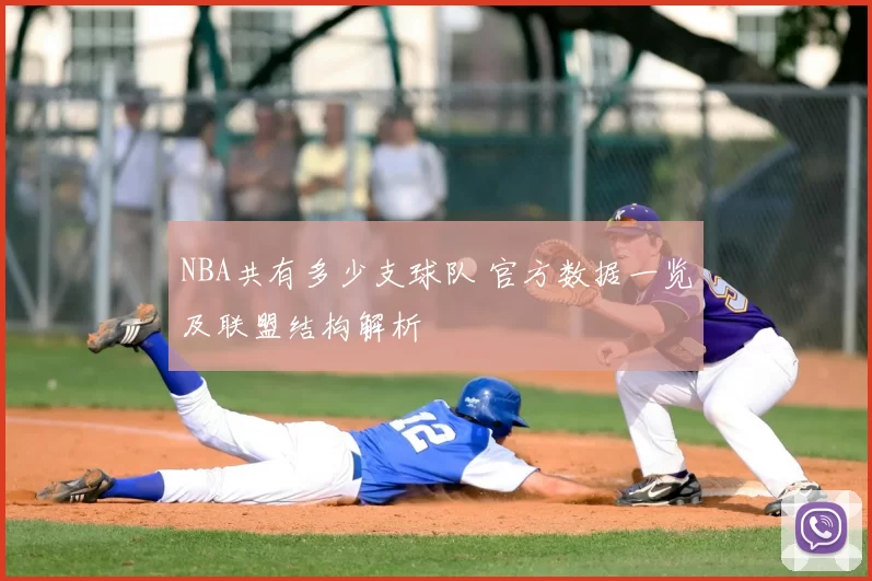 NBA共有多少支球队 官方数据一览及联盟结构解析