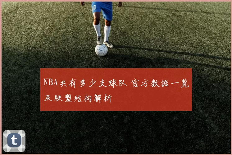 NBA共有多少支球队 官方数据一览及联盟结构解析