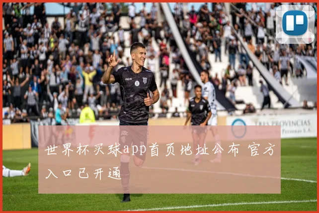 世界杯买球app首页地址公布 官方入口已开通