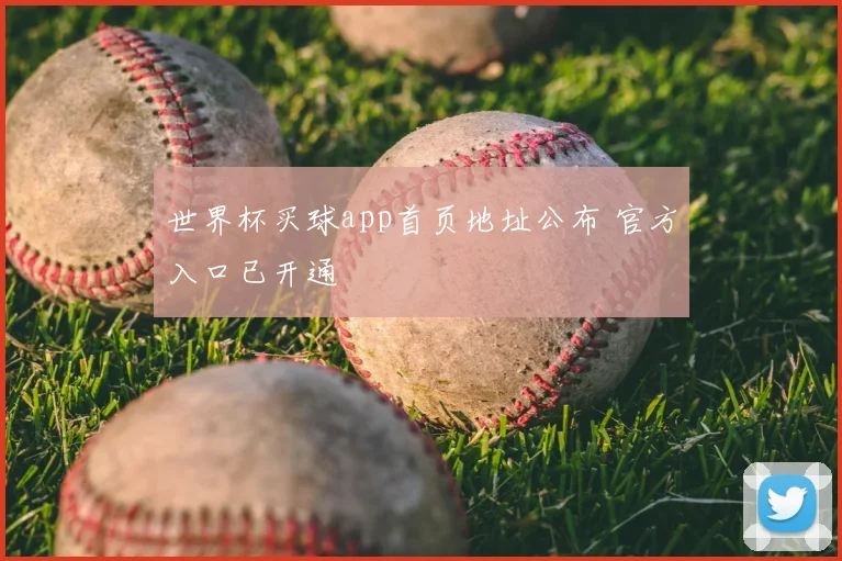 世界杯买球app首页地址公布 官方入口已开通
