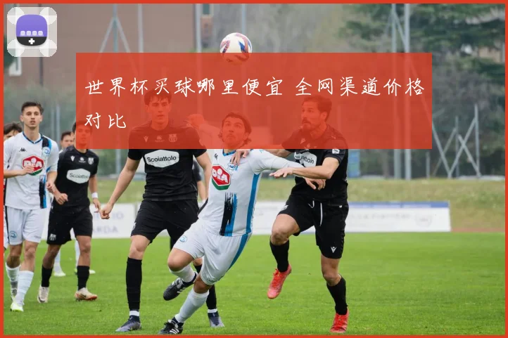 世界杯买球哪里便宜 全网渠道价格对比